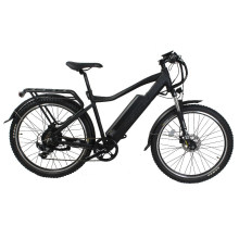 Nuevo diseño de alta calidad 3X9 Speed ​​36V 250W Bicicleta eléctrica